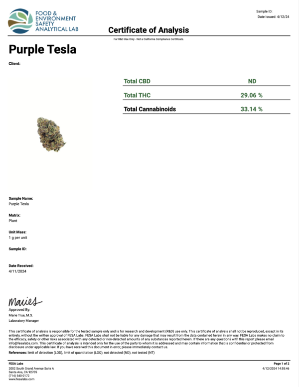 Purple Tesla Strain